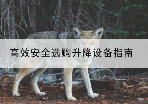 兴国升降货梯厂家推荐-*安全选购升降设备指南