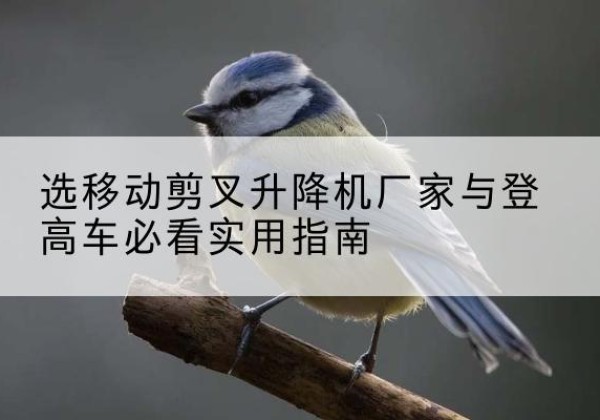 兴国电动升降机厂家-选移动剪叉升降机厂家与登高车必看实用指南