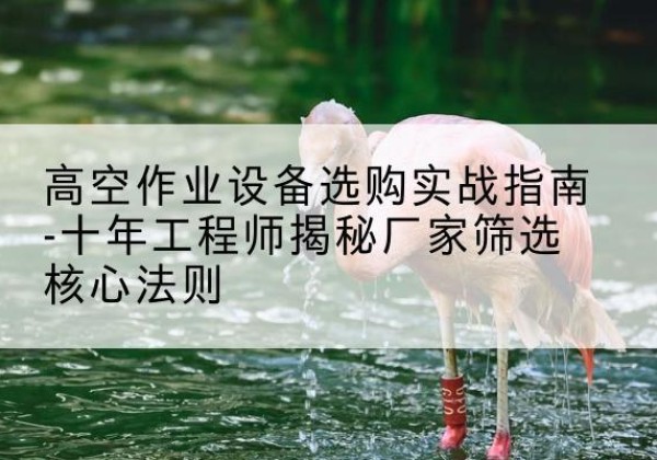兴国剪叉式升降机厂家-高空作业设备选购实战指南-十年工程师揭秘厂家筛选核心法则